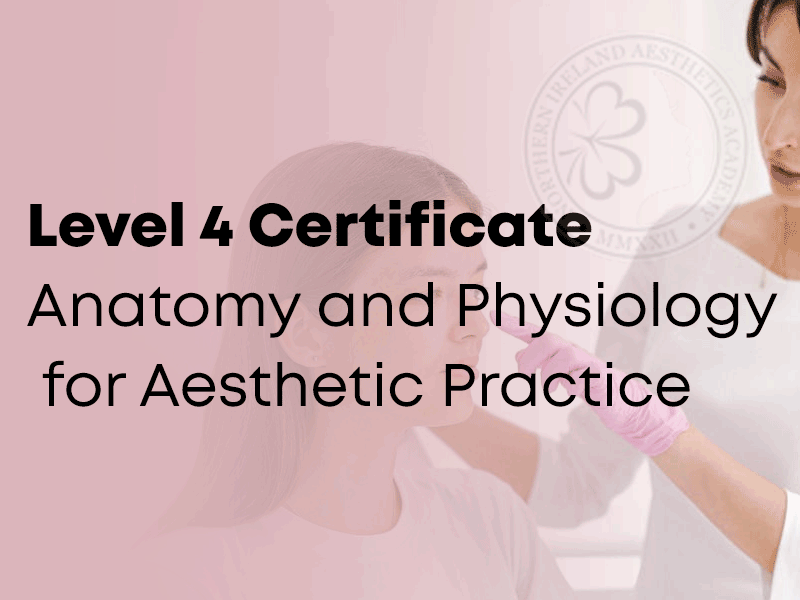 Level 4 Certificate in Anatomy and Physiology for Aesthetic Practice